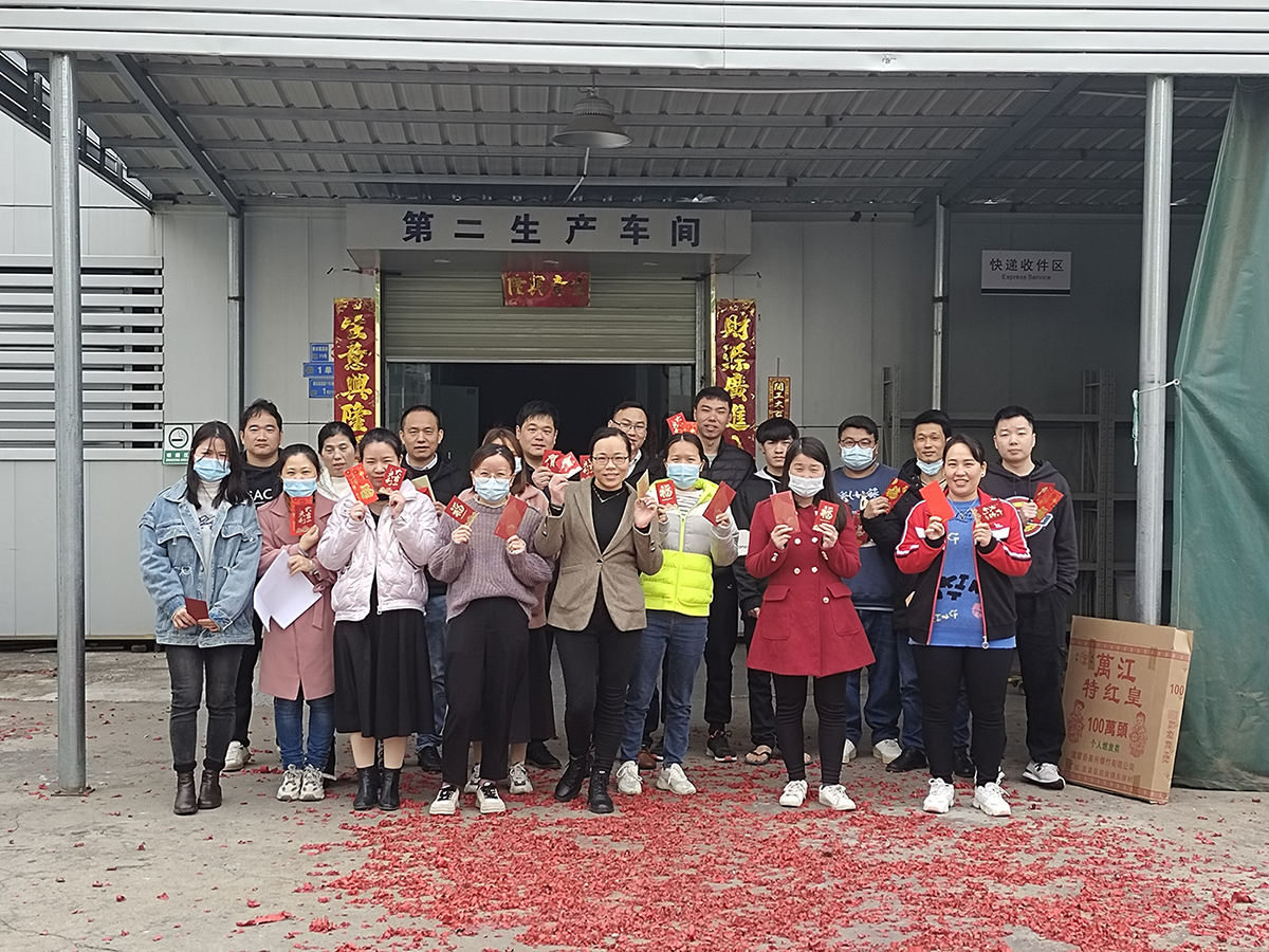 New Year,Celebrating the Spring Festival