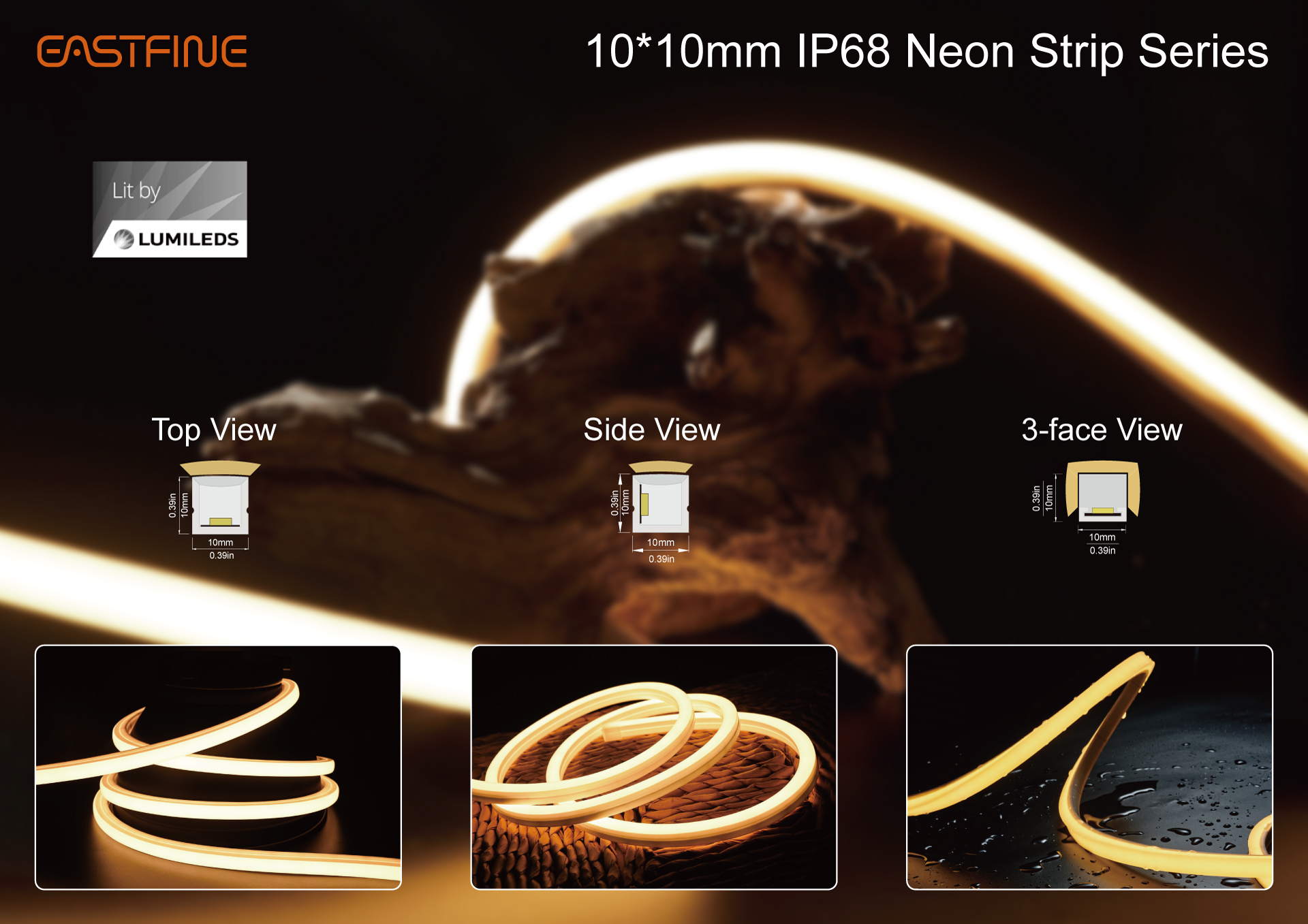 our company added two new 10x10 neon strip products