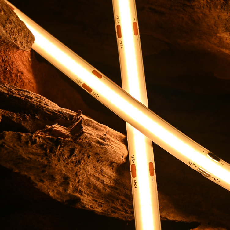 Single Color COB Series:COB-528D-10MM-24V IP20-IP65-IP67-IP68