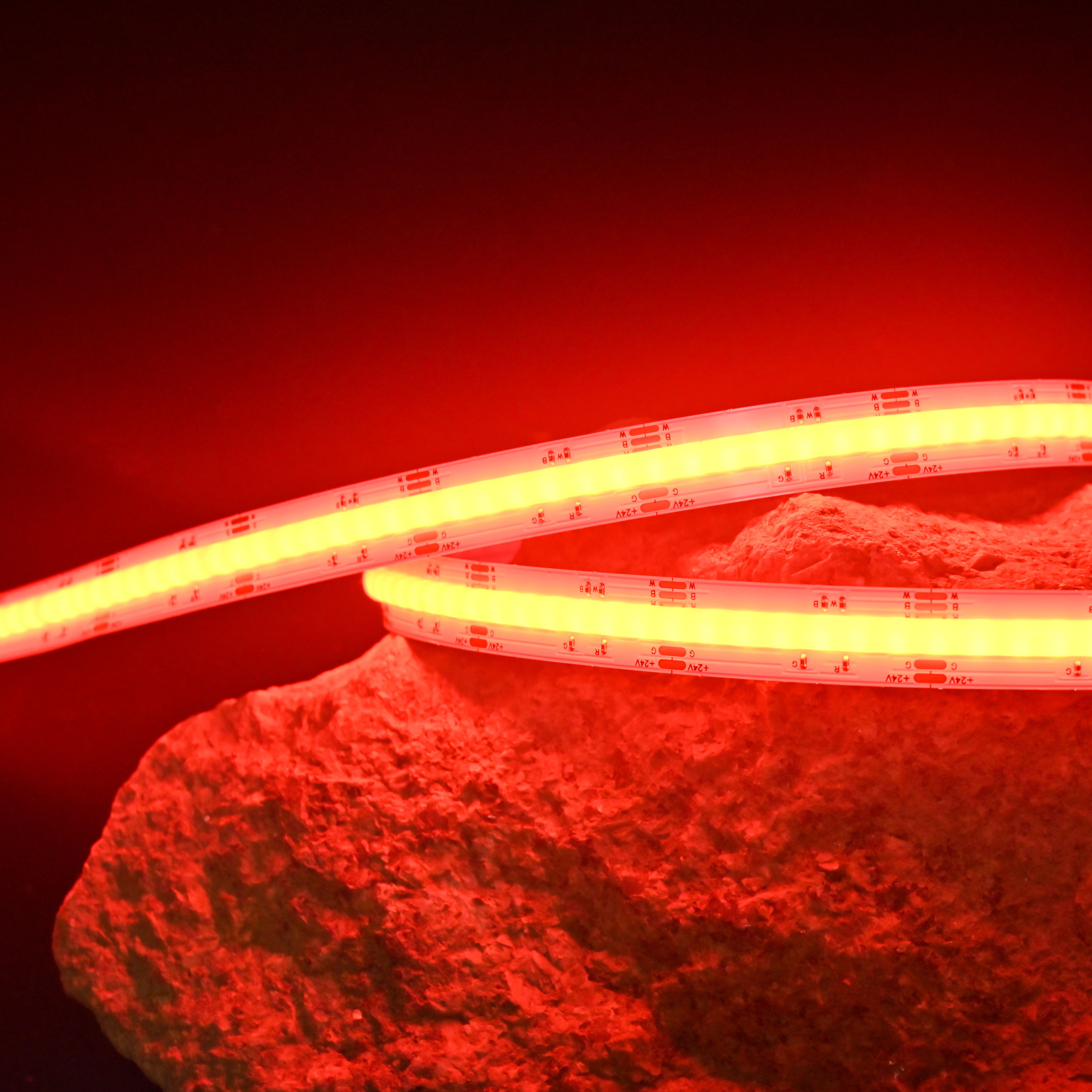 RGBW Color COB Series: COB-840D-12MM-24V IP20-IP65-IP67-IP68