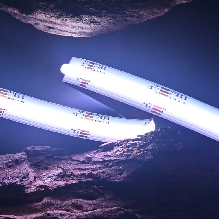 RGB&CCT Color COB  Series : COB-910D-12MM-24V IP20-IP65-IP67-IP68