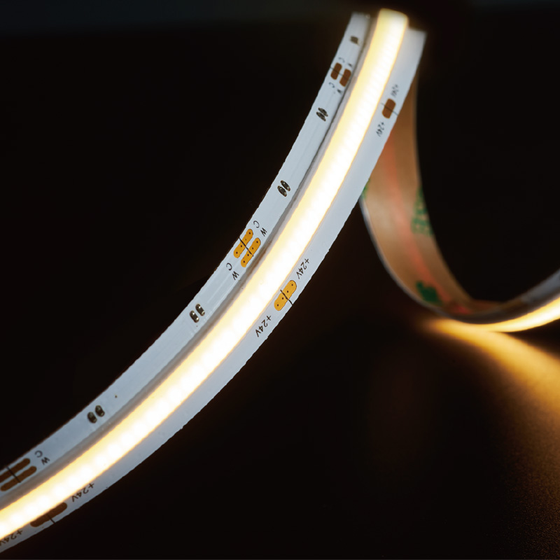 CCT双色系列：COB-1008D-10MM-24V